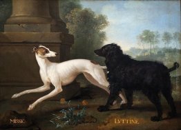 Missy e Luttine Missy e Luttine