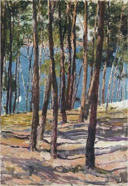 Pine Trees Pine Trees