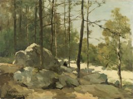 Vista sulla foresta nei pressi di Barbizon Vista sulla foresta nei pressi di Barbizon