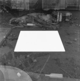 Quattro soggetti equamente divise Intorno Un terreno preparato Quattro soggetti equamente divise Intorno Un terreno preparato