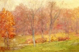 Autunno Pioggia Autunno Pioggia