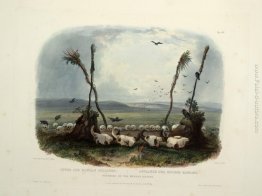 Offerta degli indiani Mandan, piatto 14 dal volume 1 "Travels in Offerta degli indiani Mandan, piatto 14 dal volume 1 "Travels in