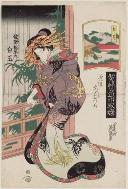 Seki: Shiratama del Sano-Matsuya Seki: Shiratama del Sano-Matsuya