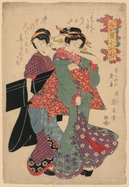 Allegoria della Komachi visitare Allegoria della Komachi visitare
