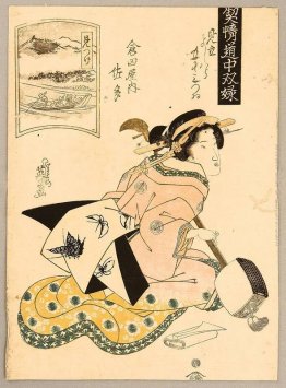 Bellezza e Shamisen Bellezza e Shamisen