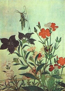 Riso Locust Red Dragonfly Pinks cinesi di Bell Fiori Riso Locust Red Dragonfly Pinks cinesi di Bell Fiori