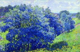 The Blue Bush The Blue Bush
