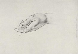 Disegno mani Disegno mani