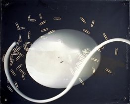 Fotogramma Fotogramma