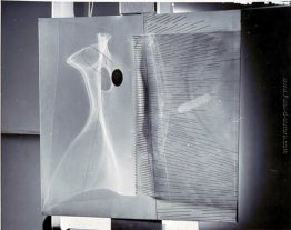 Luce pittura su celluloide a cerniera (posizione 1) Luce pittura su celluloide a cerniera (posizione 1)