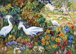 La bella terra La bella terra