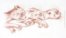 Una folle corsa Una folle corsa