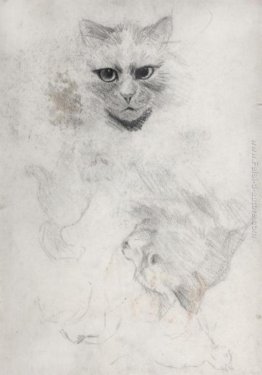 DARK-EYED CAT DARK-EYED CAT