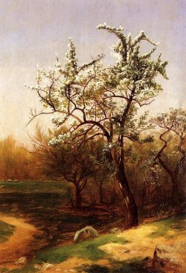 Blossoms Pera Blossoms Pera