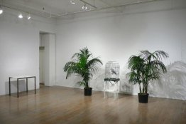 Ne pas que diete je ne l'ai pas dit - Le Perroquet Ne pas que diete je ne l'ai pas dit - Le Perroquet