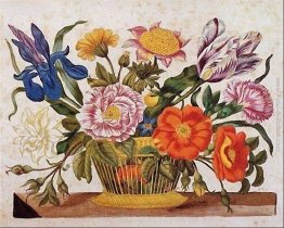 da Der Raupen wunderbare Verwandlung und sonderbare Blumennahrun da Der Raupen wunderbare Verwandlung und sonderbare Blumennahrun