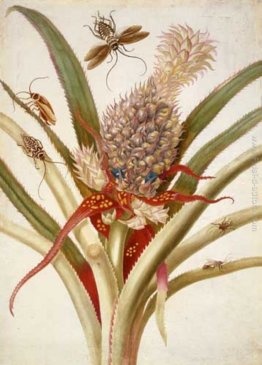 Ananas e scarafaggi Ananas e scarafaggi