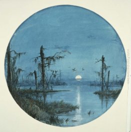 Bayou in Moonlight Bayou in Moonlight