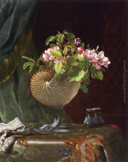 Natura morta con fiori di melo in un guscio di Nautilus Natura morta con fiori di melo in un guscio di Nautilus