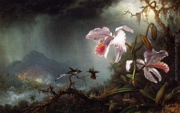 Due Colibrì di combattimento con due orchidee Due Colibrì di combattimento con due orchidee