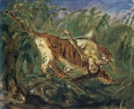 Tigre nella giungla Tigre nella giungla