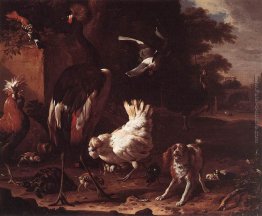 Uccelli e una Spaniel in un giardino Uccelli e una Spaniel in un giardino