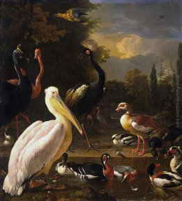 Un pellicano e altri uccelli vicino ad un raggruppamento (The Fe Un pellicano e altri uccelli vicino ad un raggruppamento (The Fe