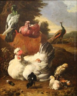 La poule blanche La poule blanche