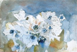 Fiori Fiori