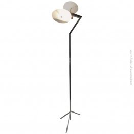 Albero Luce Albero Luce