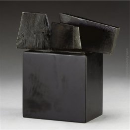 Construcción Aurera Construcción Aurera