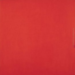 Attrazione quadrata nel quadrato Attrazione quadrata nel quadrato