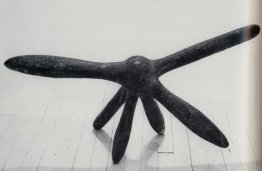 Walking Palla Walking Palla