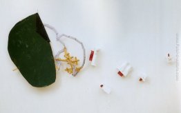 Sand-albero 2 Sand-albero 2