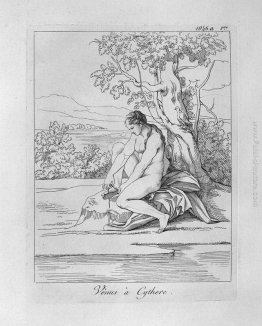 Venere in Citera Venere in Citera