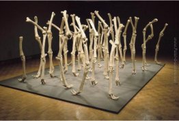 Variabilità di forme simili Variabilità di forme simili