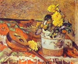Mandolina e Fiori Mandolina e Fiori
