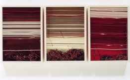 Senza titolo Senza titolo