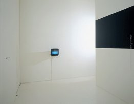 visuelles feld visuelles feld