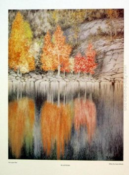 Aspen Bloer Aspen Bloer