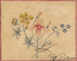 Studio di fiori Studio di fiori