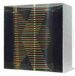 Senza titolo Senza titolo