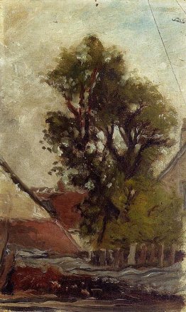 Albero nel cortile della fattoria Albero nel cortile della fattoria