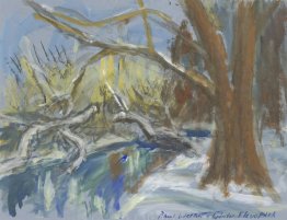 Flevo-parco in inverno, Amsterdam Flevo-parco in inverno, Amsterdam