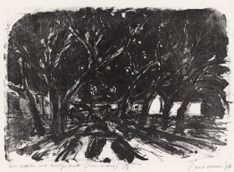 Sette sorelle - un gruppo di alberi su KNSM-isola in Amsterdam Sette sorelle - un gruppo di alberi su KNSM-isola in Amsterdam