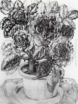 Fiori Fiori