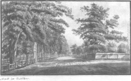 Boston Mall Boston Mall