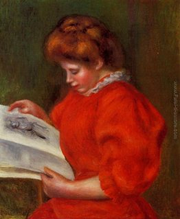 Giovane donna guardando stampa Giovane donna guardando stampa