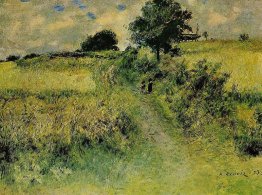 Il campo Il campo