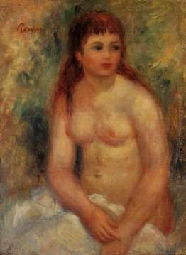 Seduti donna giovane, nudo Seduti donna giovane, nudo